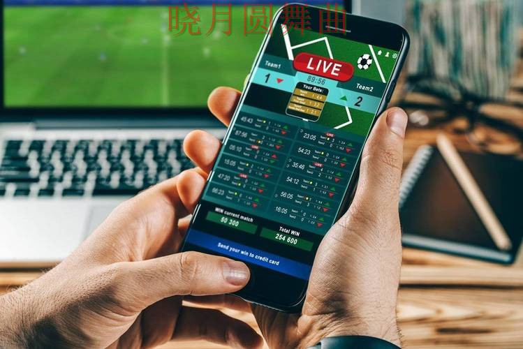 世界杯投注平台新手最容易踩的坑有哪些经验分享